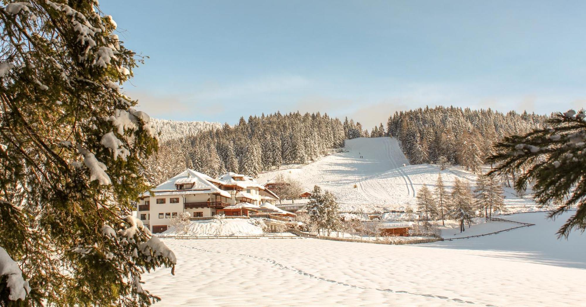 Berghotel Zum Zirm Collalbo Exterior photo